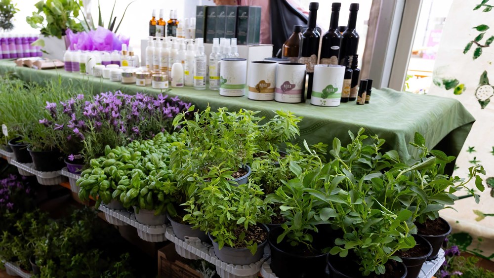 (Foto TZ Kr&scaron;an)