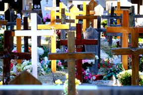 (Snimio Milivoj Mijošek)