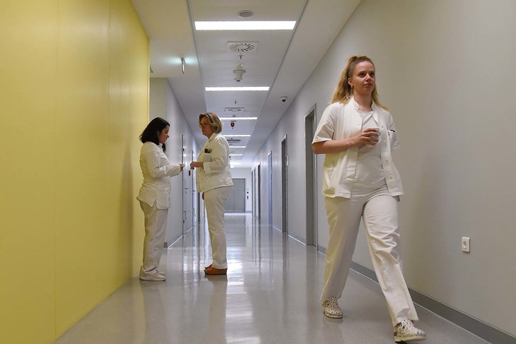 Ilustracija (Snimio Sergej Drechsler)