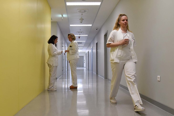 Ilustracija (Snimio Sergej Drechsler)