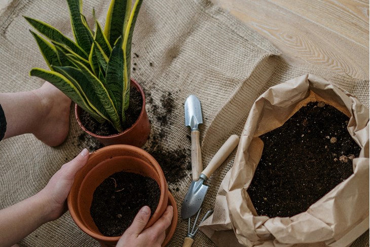 Ilustracija (Pexels)