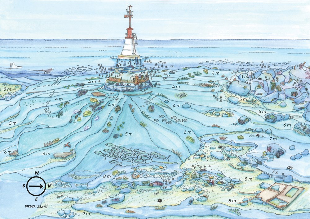 (Snimila Barbara Unkovic)