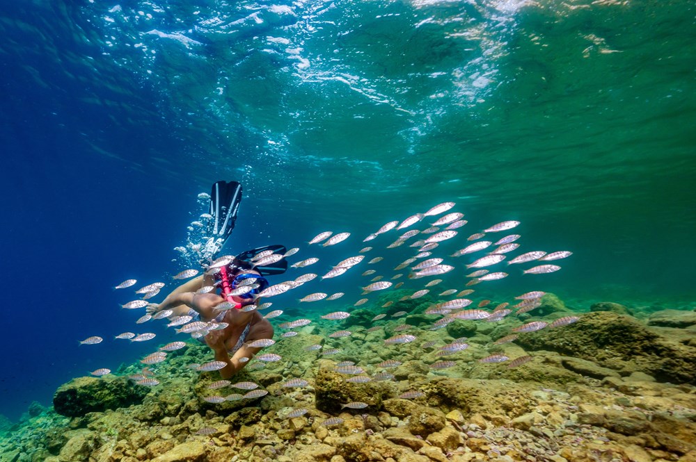 (Snimio Anton Unković)