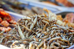 Ilustracija (Pexels)