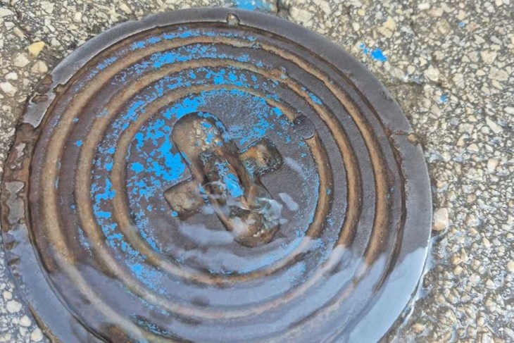 (Foto: čitateljica)