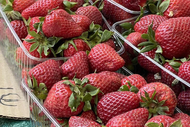 (Snimila Doria Mohorović)