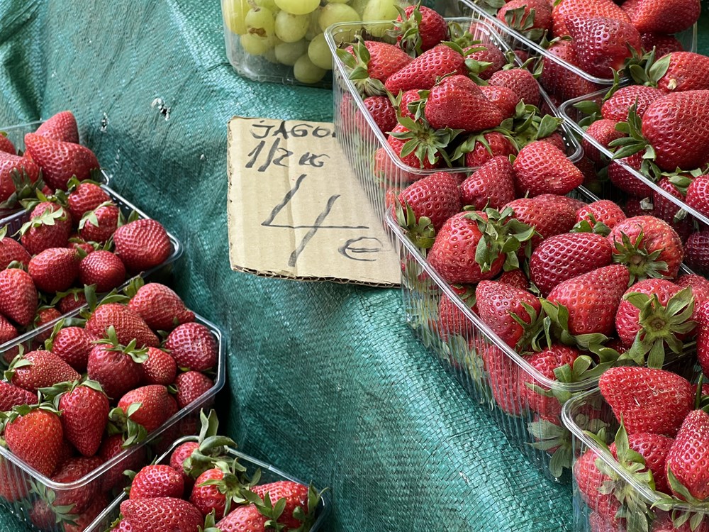 (Snimila Doria Mohorović)