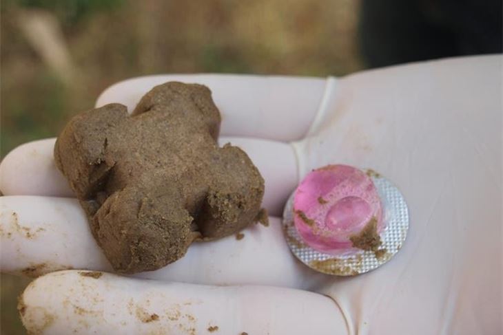 (Foto: Ministarstvo)