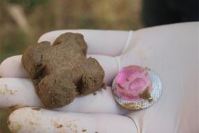 (Foto: Ministarstvo)