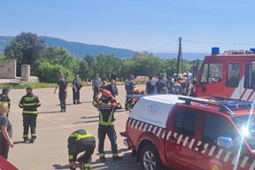 (Snimila Jelena Milović)