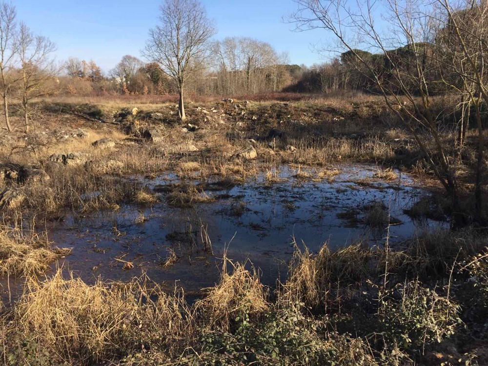 (Foto Institut za poljoprivredu i turizam)