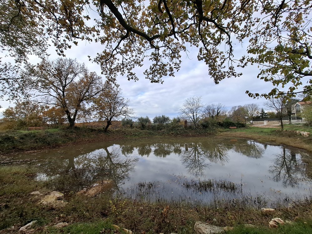 (Foto Institut za poljoprivredu i turizam)