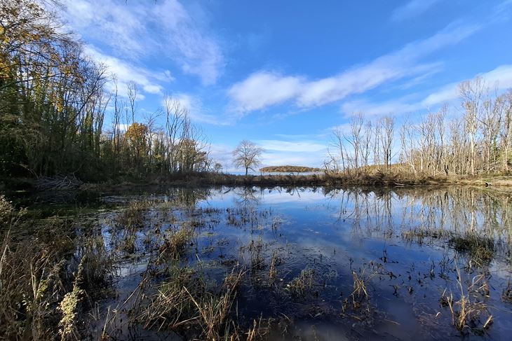 (Foto Institut za poljoprivredu i turizam)