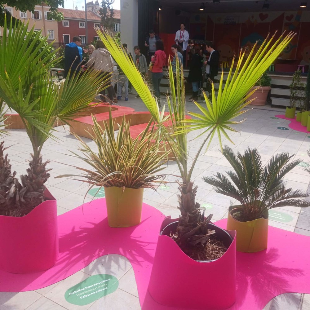 (Snimila Vanesa Begić)