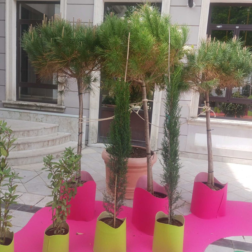 (Snimila Vanesa Begić)