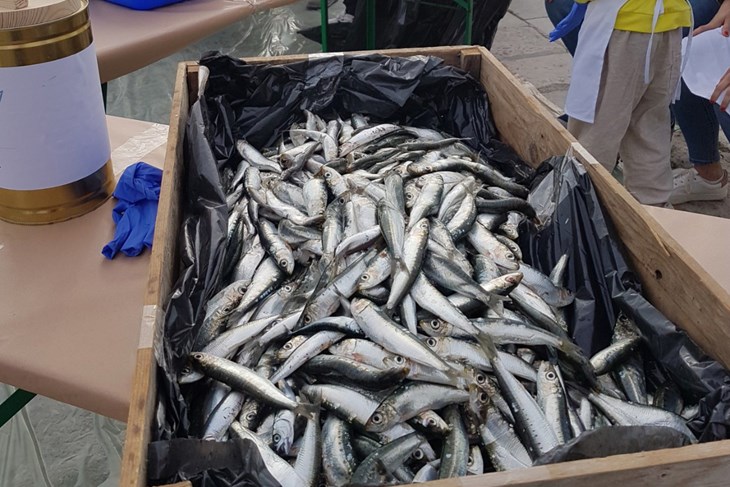 (Arhiva Glasa Istre)