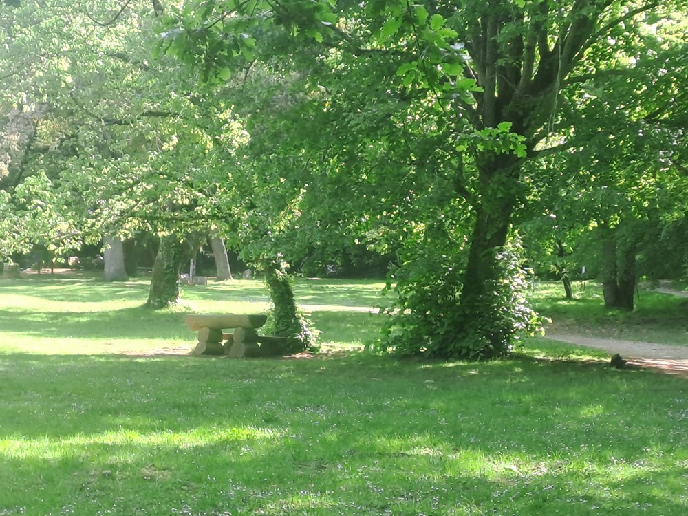 (Snimila Jelena Milović)