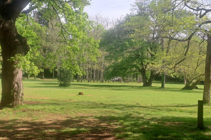 (Snimila Jelena Milović)