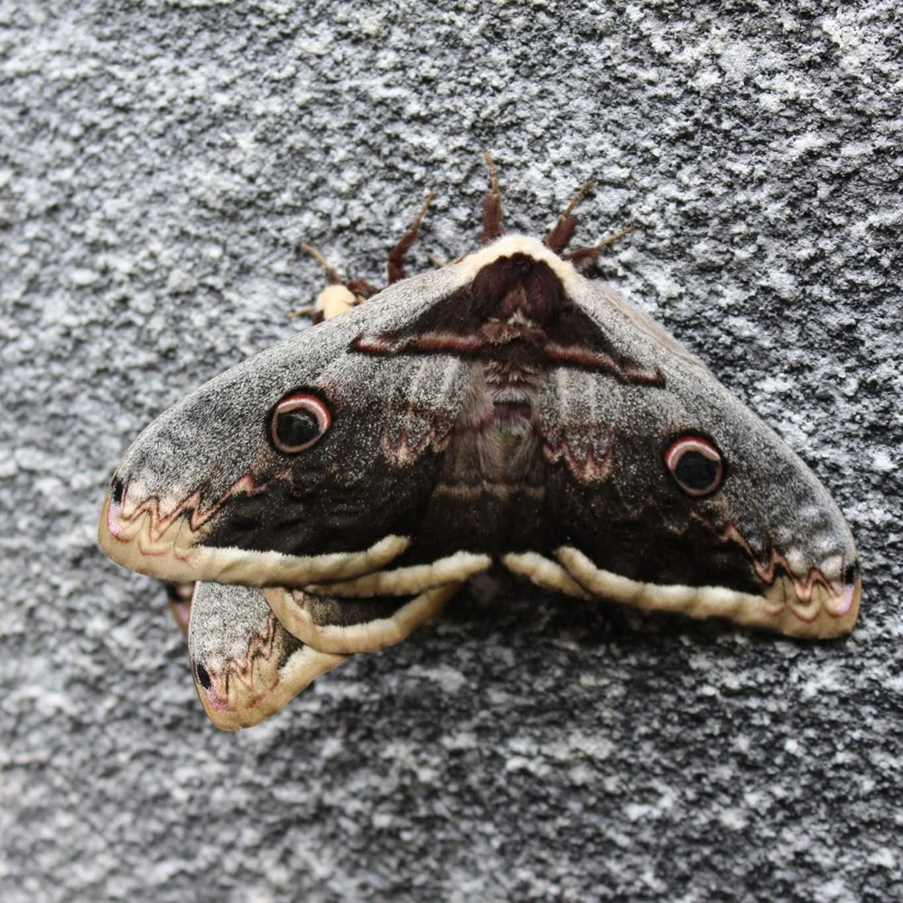 (Foto: Paula Markoč i Nina I&scaron;ić)