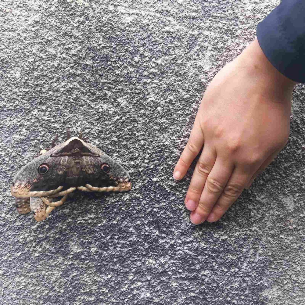 (Foto: Paula Markoč i Nina I&scaron;ić)