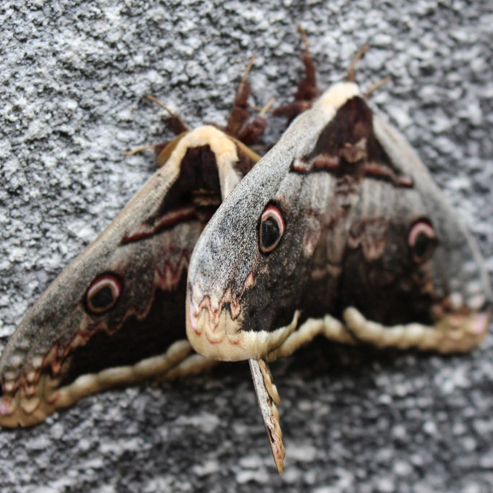 (Foto: Paula Markoč i Nina I&scaron;ić)