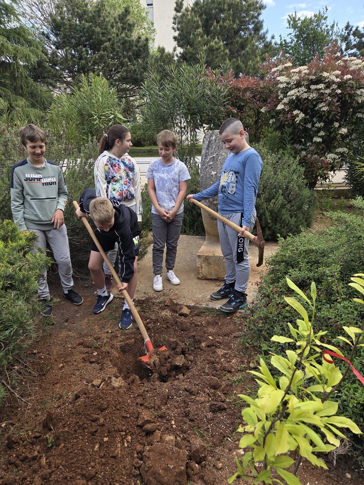 (Foto: Osobna arhiva)