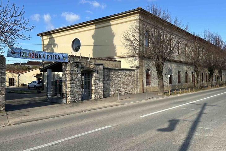 (Snimio Robert Velenik)