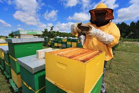 (Snimio Davor Javorović/Pixsell)