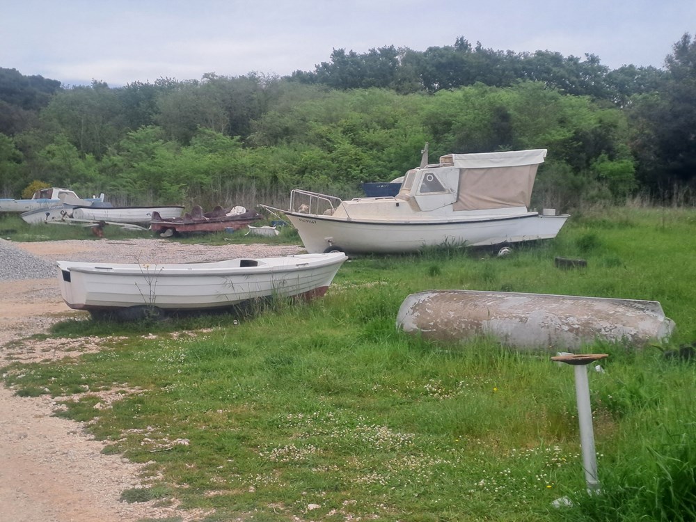 (Snimila Jelena Milović)