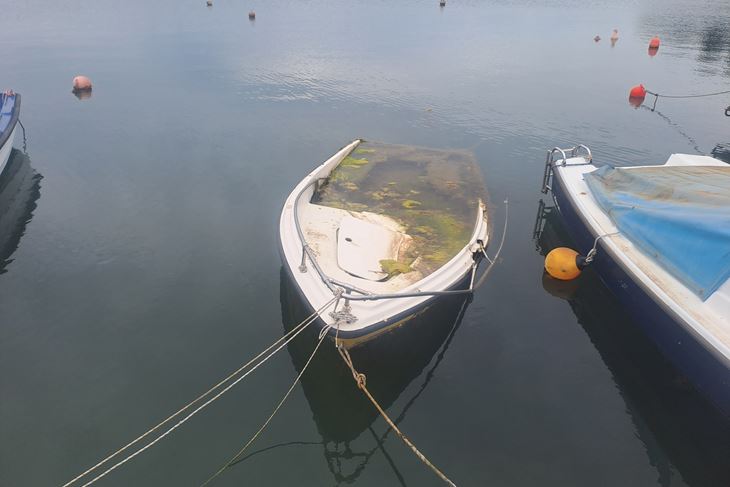 (Snimila Jelena Milović)