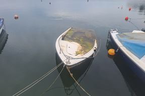 (Snimila Jelena Milović)