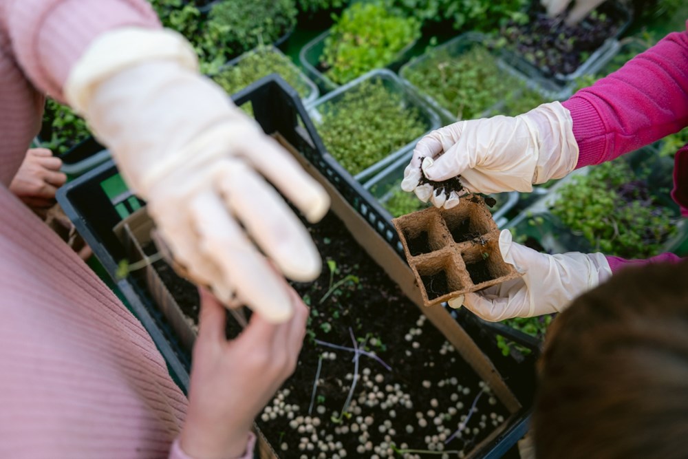 (Snimila Sara &Scaron;ijan / Monte Librić)