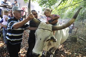 (Snimio Marin Ančić)