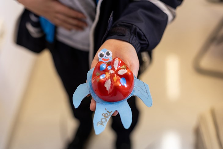 (Snimila Petra Tadić Majetić / Monte Librić)