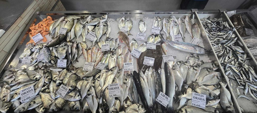 (Snimila Jelena Milović)