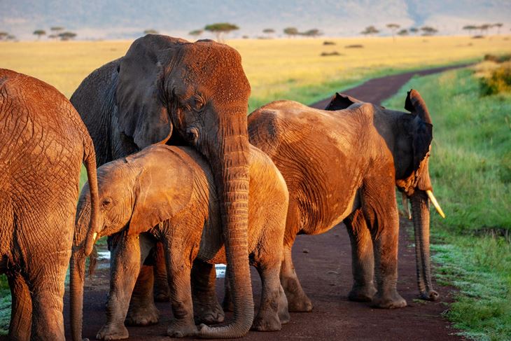 Ilustracija (Pixabay)