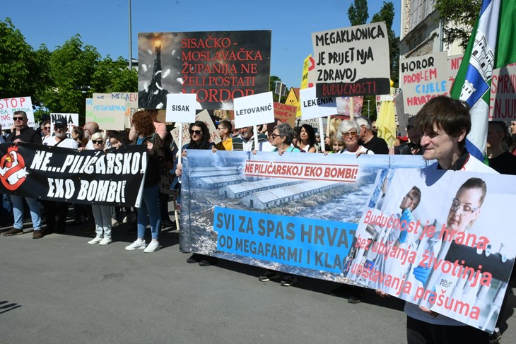 (Snimio Nikola Cutuk / Pixsell)