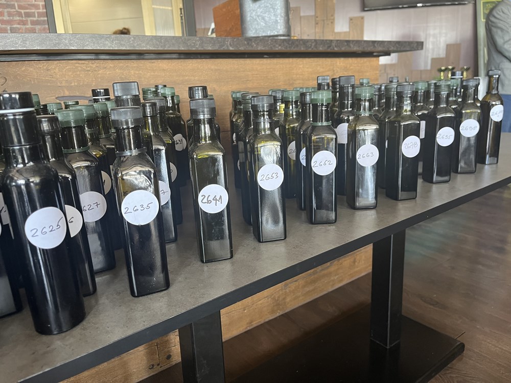 (Snimila Mateja Sponza)