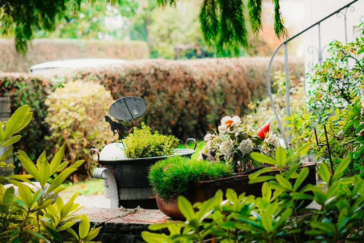 Ilustracija (Pexels)