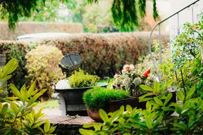 Ilustracija (Pexels)