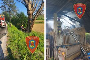 (JVP Pazin / Facebook)