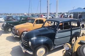 (Snimio Zvonimir Guzić)