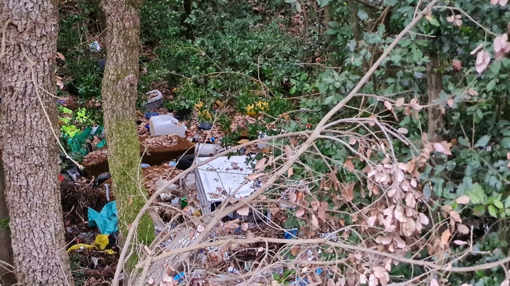 (Snimio čitatelj Glasa Istre)