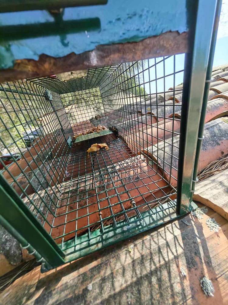 (Foto: &Scaron;ape Rovinj)