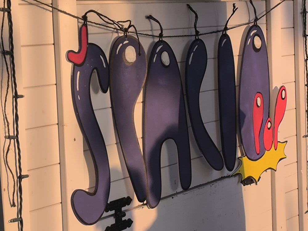 (Snimio Zvonimir Guzić)