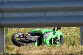 Ilustracija (Snimio Gojko Mitić)