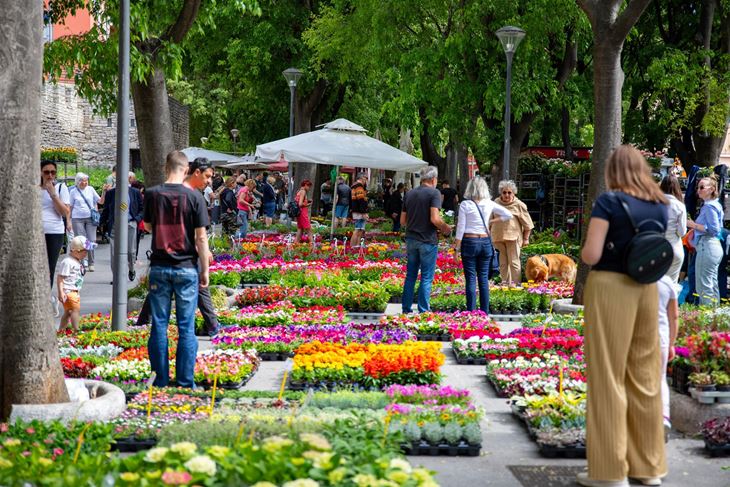 (Foto Grad Pula)