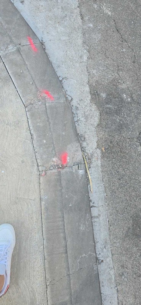 (Snimila čitateljica)