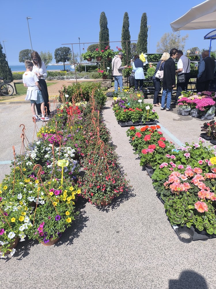 (Snimio Zvonimir Guzić)