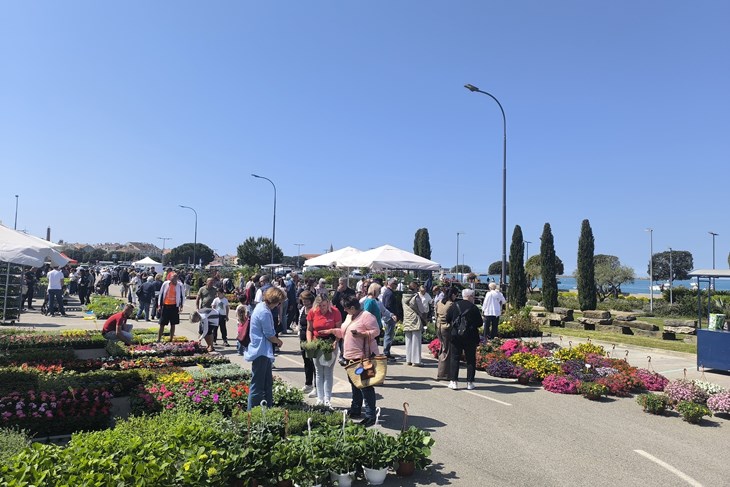 (Snimio Zvonimir Guzić)